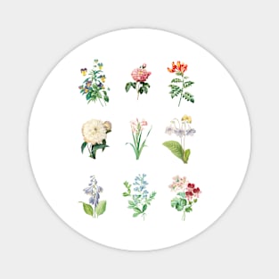 Vintage Floral Magnet